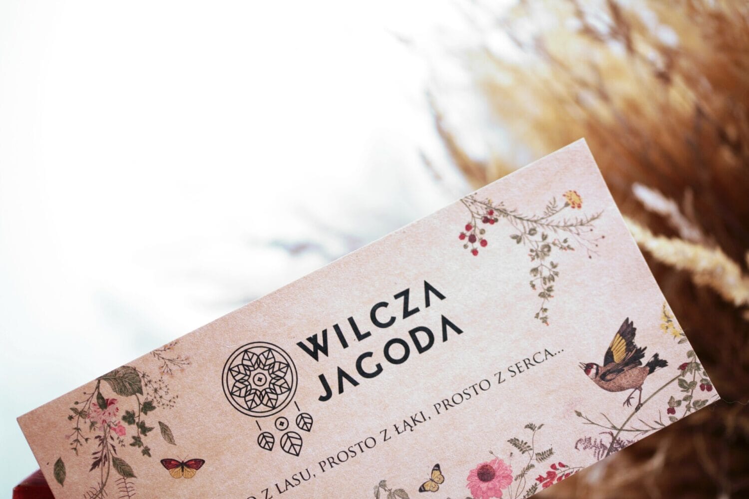 Voucher 1 Wilcza Jagoda