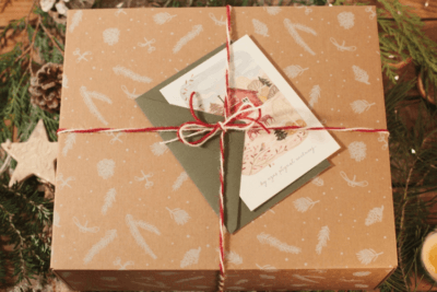 Wilczy kartonik Wilcza Jagoda