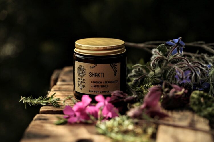 Swieca shakti 4 Wilcza Jagoda