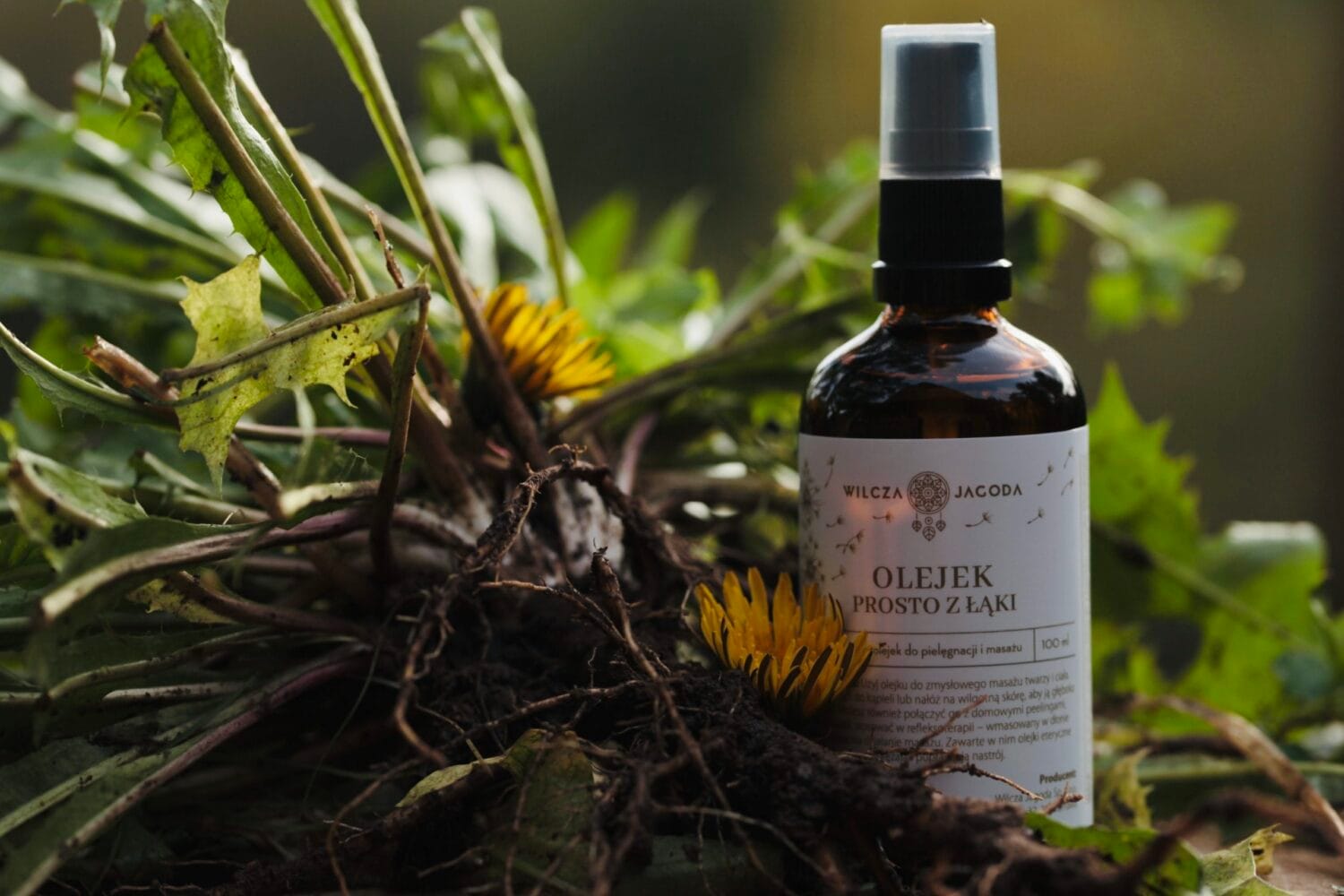 Olejek prosto z laki 1 Wilcza Jagoda