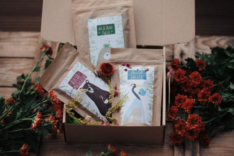 Trzypak naparow mocy 1 scaled Wilcza Jagoda