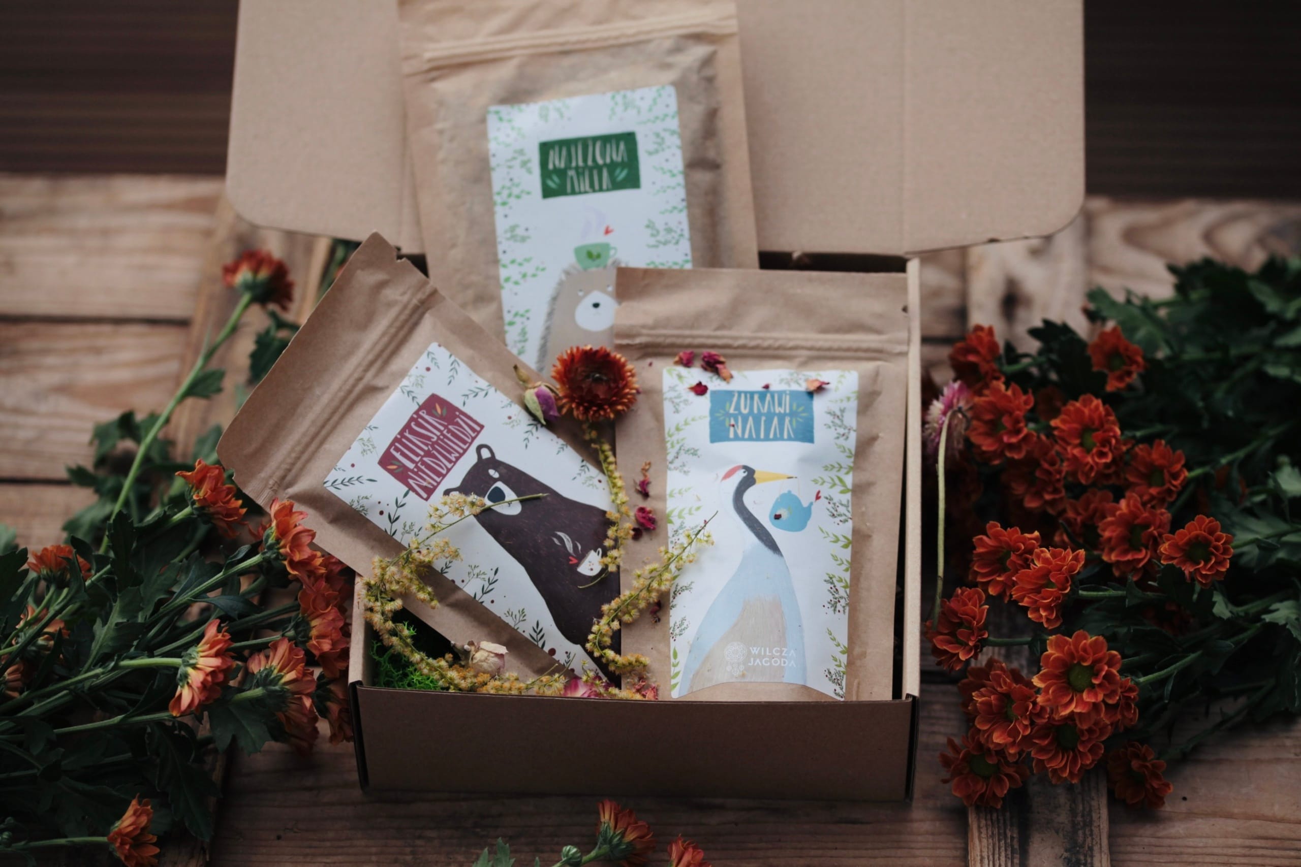 Trzypak naparów mocy 1 Trzypak naparow mocy 1 scaled Wilcza Jagoda