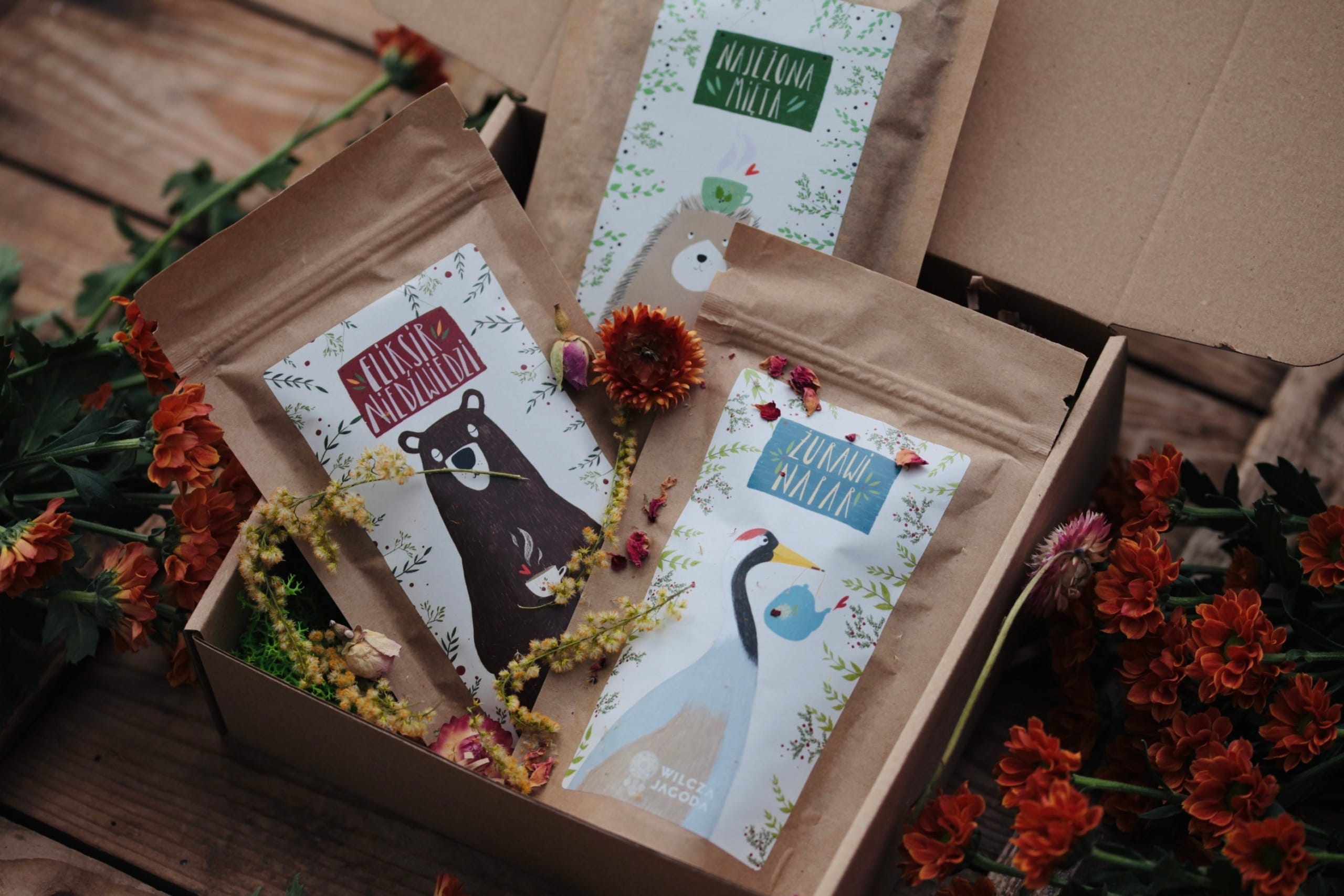 Trzypak naparów mocy 3 Trzypak naparow mocy 3 scaled Wilcza Jagoda