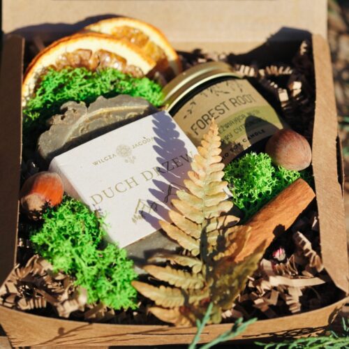 Maly Duch Drzew 2 Wilcza Jagoda