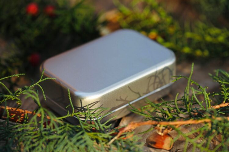 Mydelnica Puszka na Mydlo 5 scaled Wilcza Jagoda