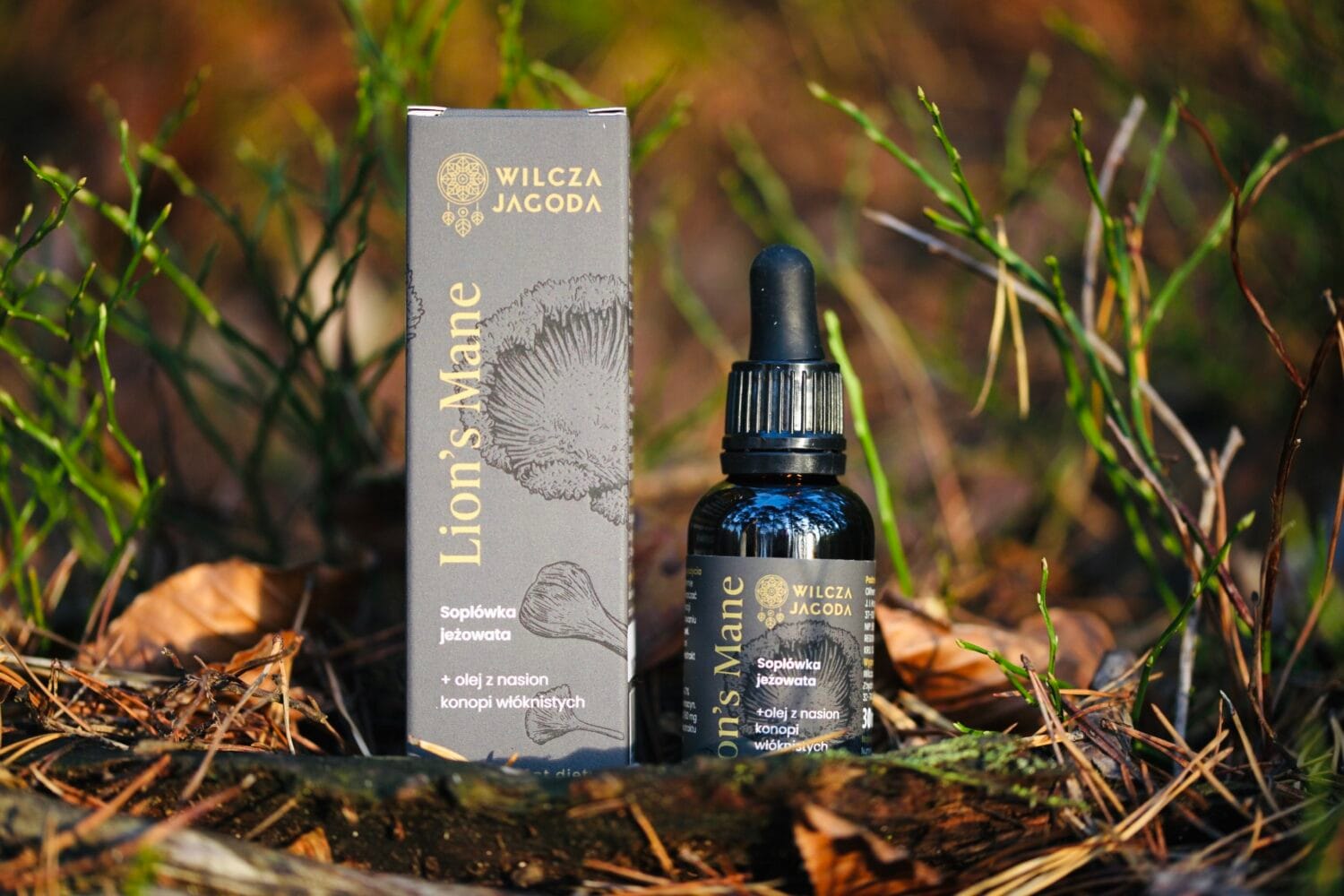 Soplówka Jeżowata Lion’s Mane – suplement w kroplach