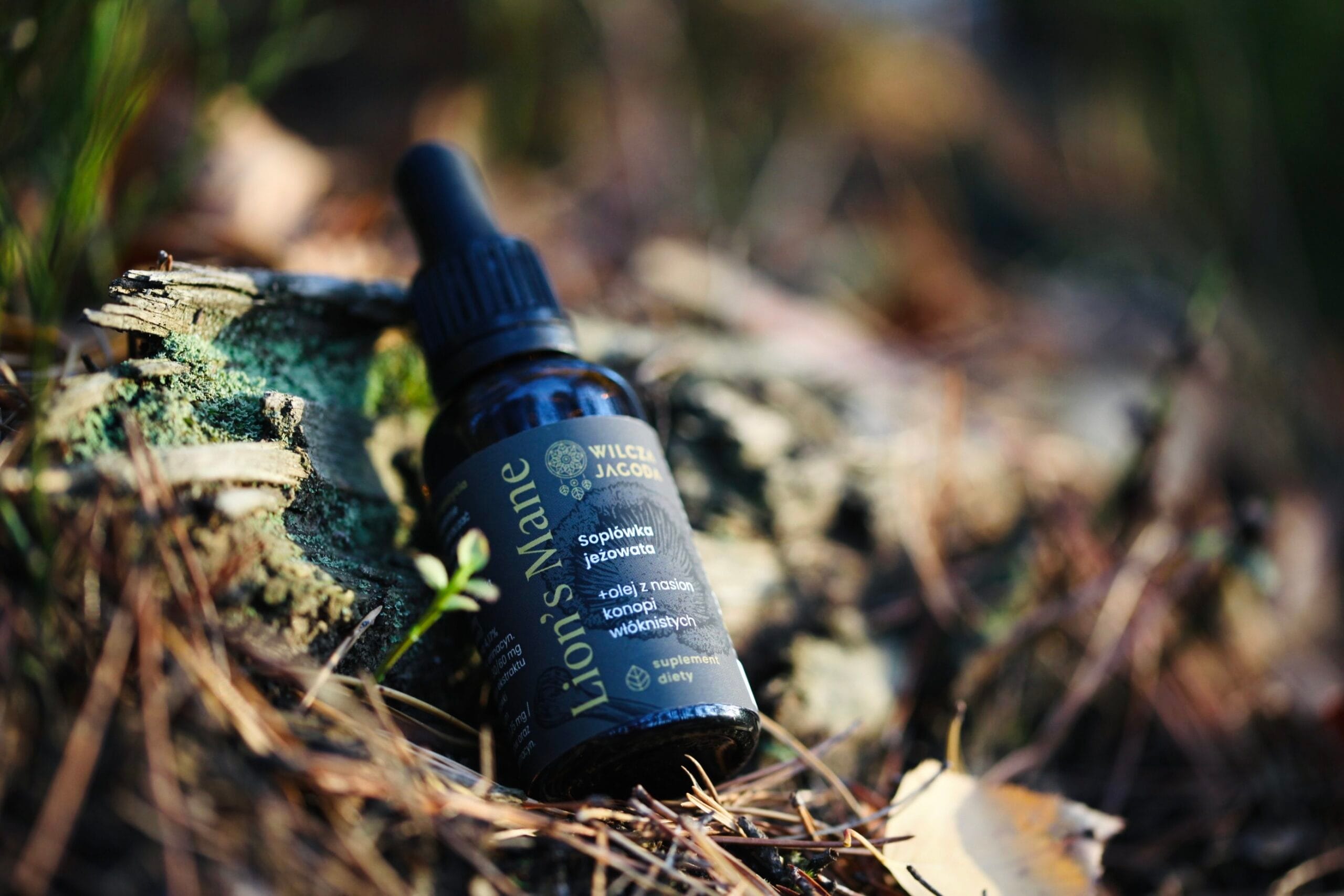 Soplówka 2 Soplowka 2 scaled Wilcza Jagoda