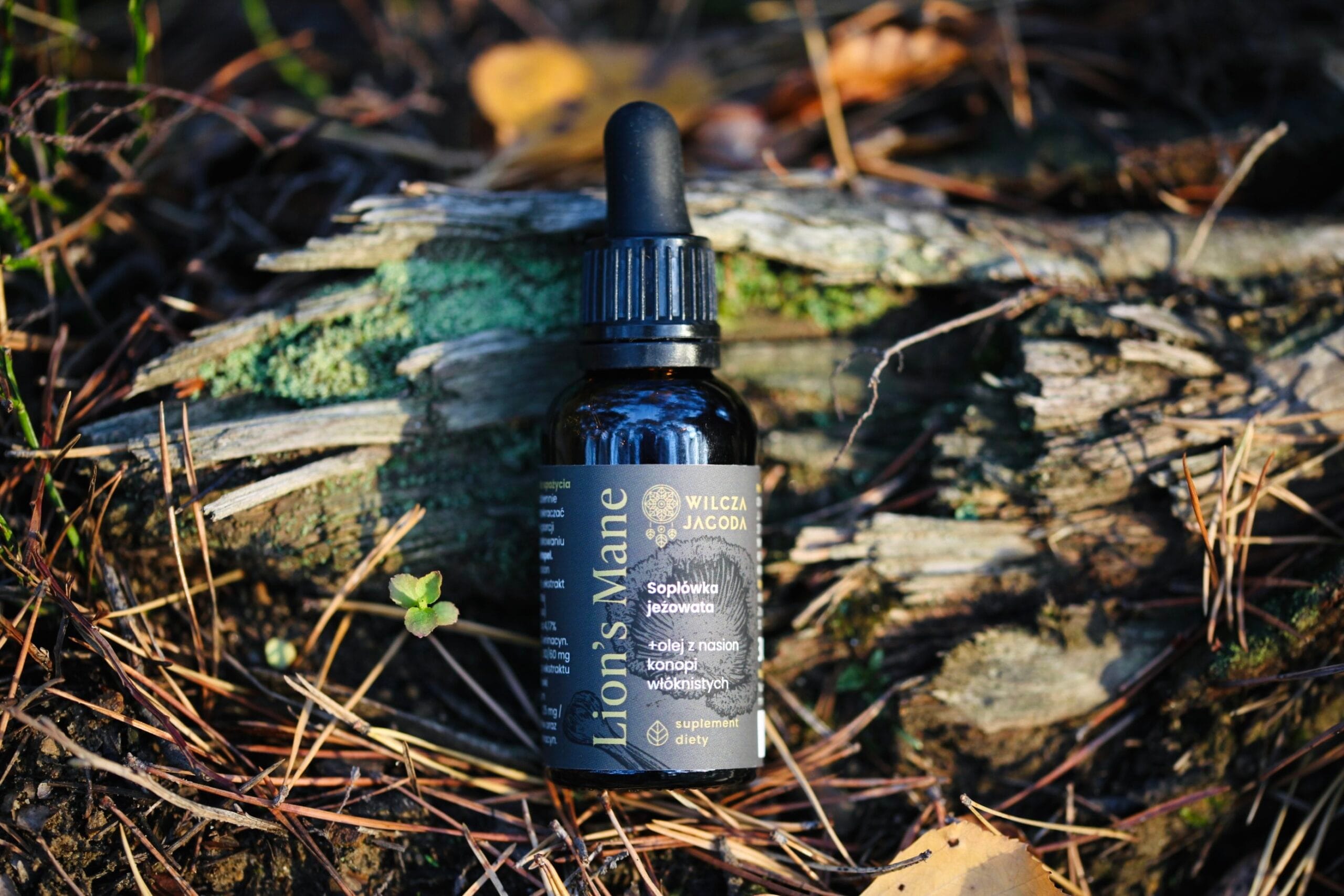 Soplówka 3 Soplowka 3 scaled Wilcza Jagoda