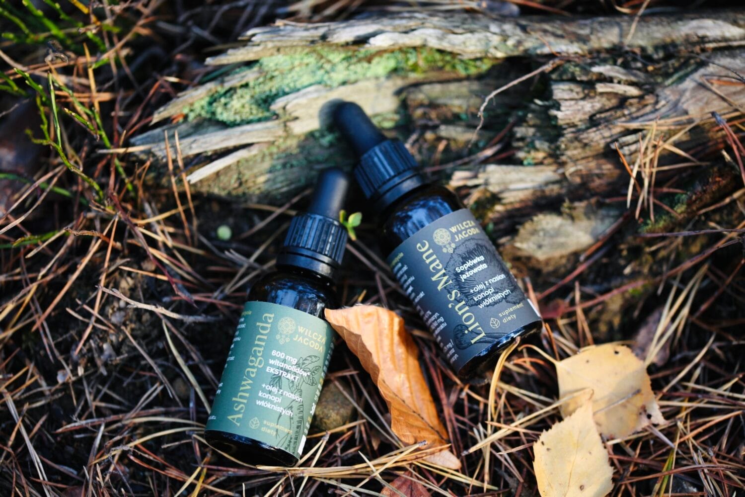 Soplowka 4 Wilcza Jagoda