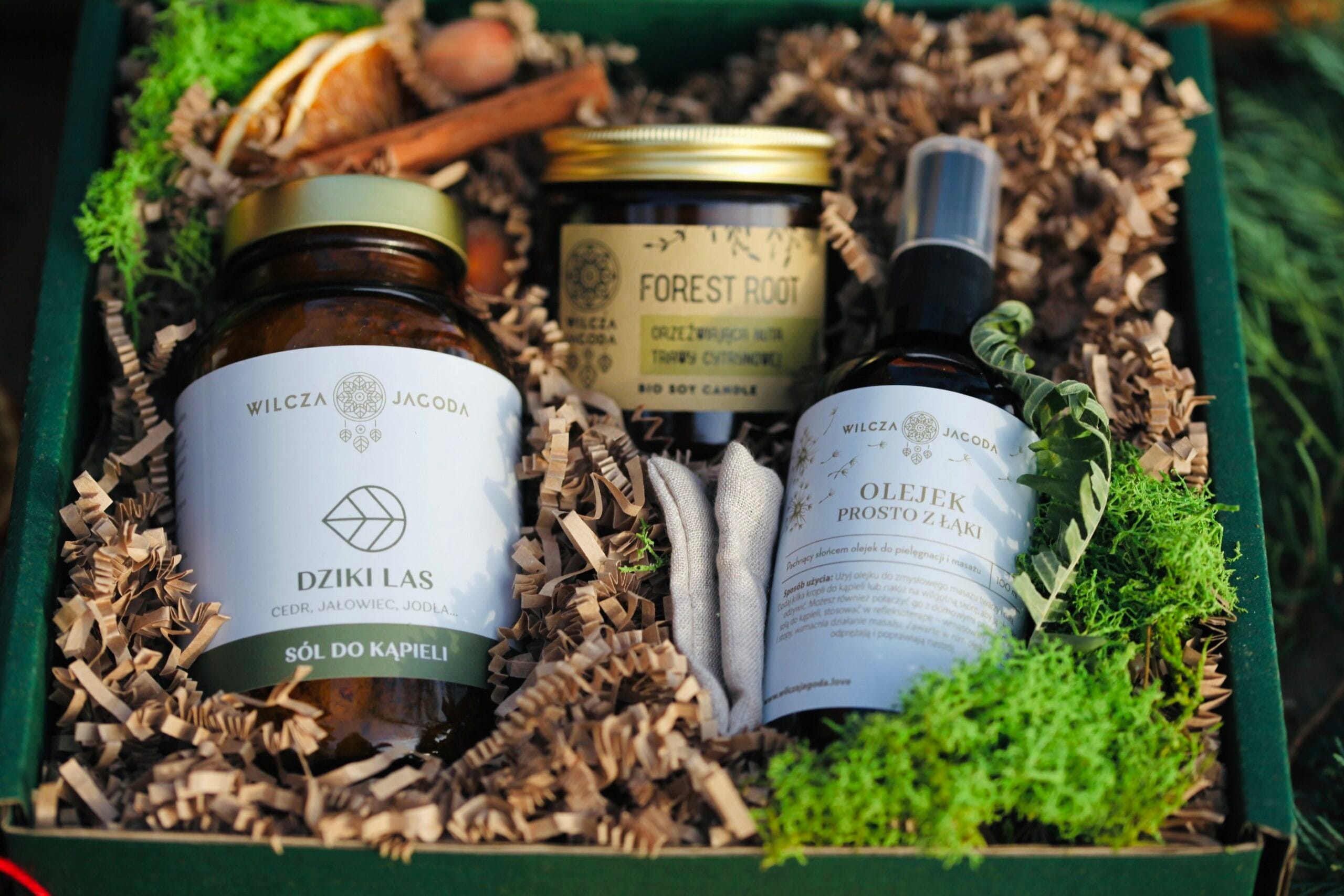 Zestaw Dziki Las 2 Zestaw Dziki Las 2 scaled Wilcza Jagoda