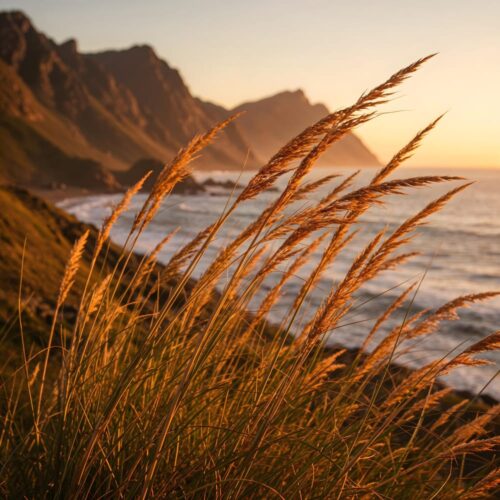 2152010550 Wilcza Jagoda