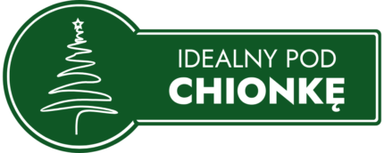 najlepszy-pod-choinke