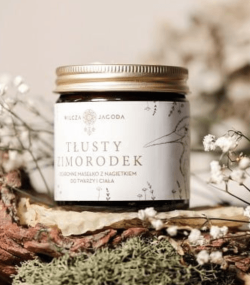 zimorodek baner Wilcza Jagoda