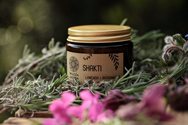 Swieca-shakti-1a