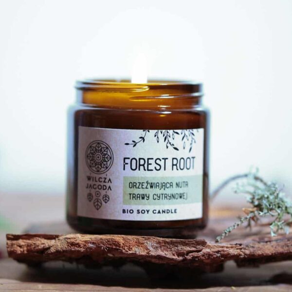 Forest Root - Świeca z wosku sojowego